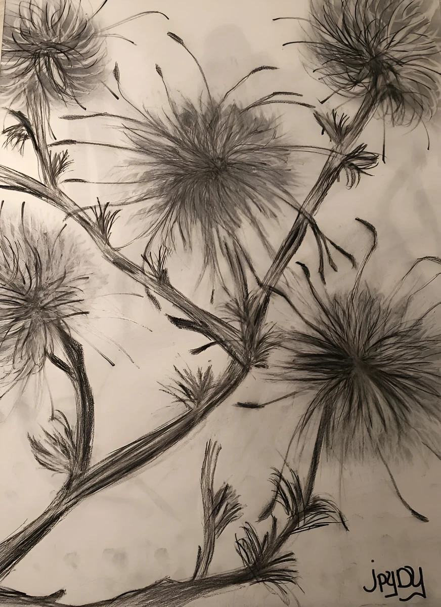 Beautiful Moss, Drawing - Chalk And Eraser by Dora Ybarra