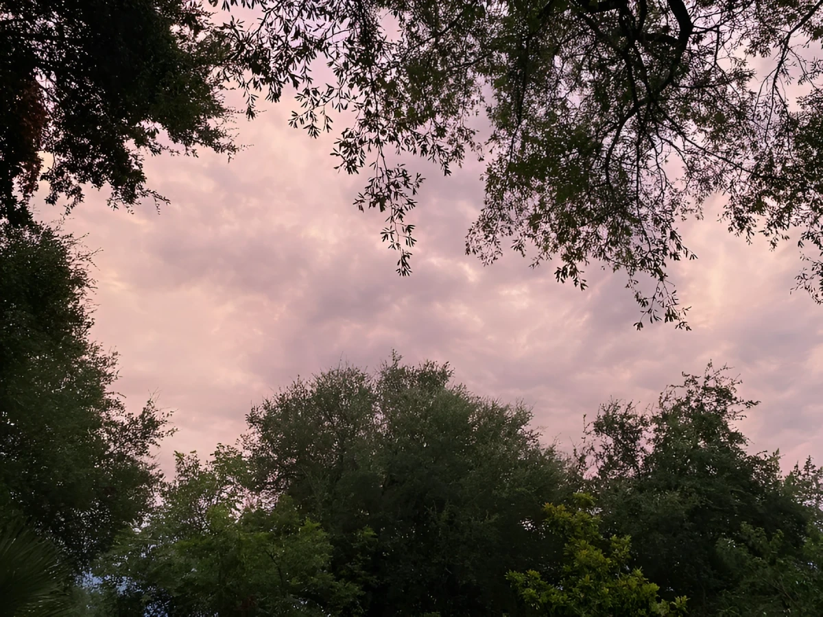 Breathe in and out, Photograph - Photo by Dora Ybarra
