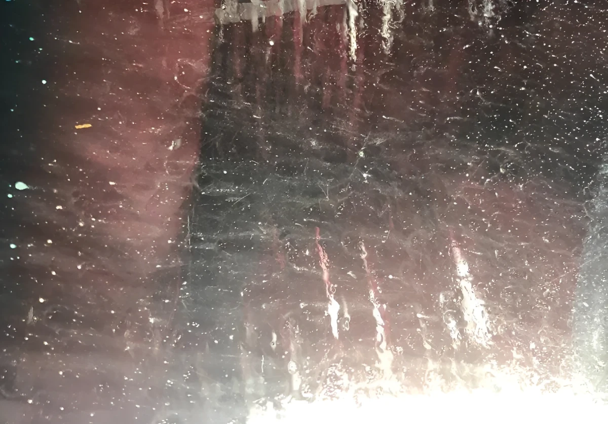 Cold Winter Storm, Photograph - Photo by Dora Ybarra