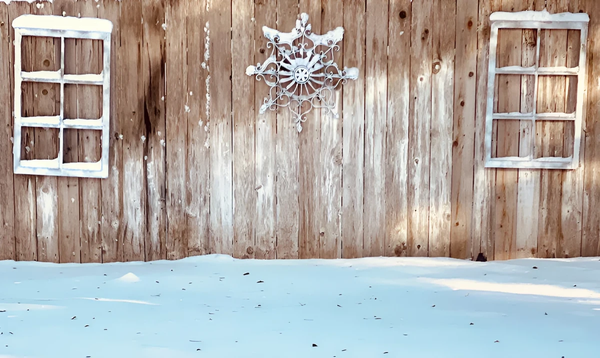 Frozen Window Panes, Photograph - Photo by Dora Ybarra