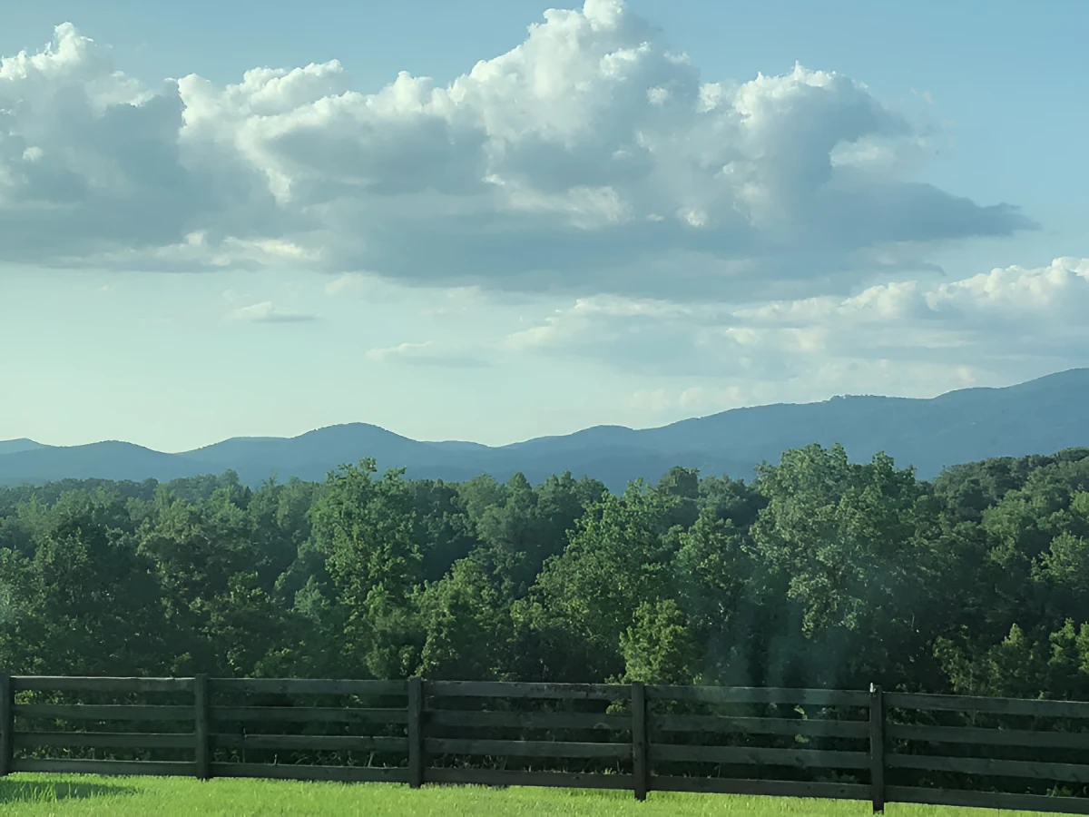 Hillside Taylors S Carolina, Photograph - Photo by Dora Ybarra