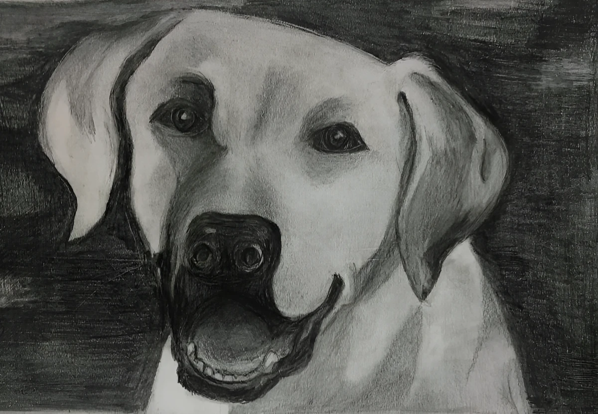 Jpydy, Drawing - Chalk And Pencil And Eraser by Dora Ybarra