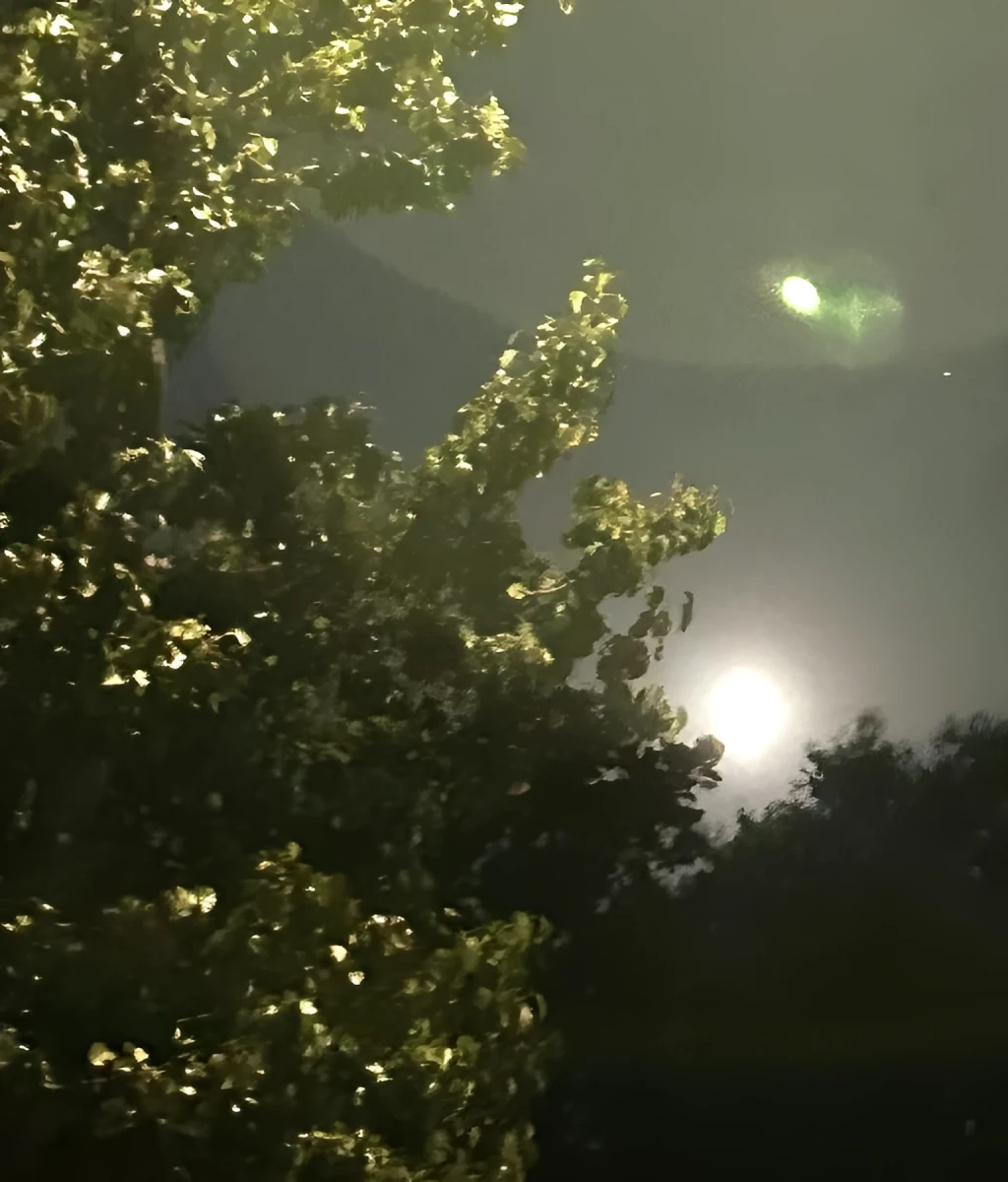 My Supermoon Moment, Photograph - Photo by Dora Ybarra