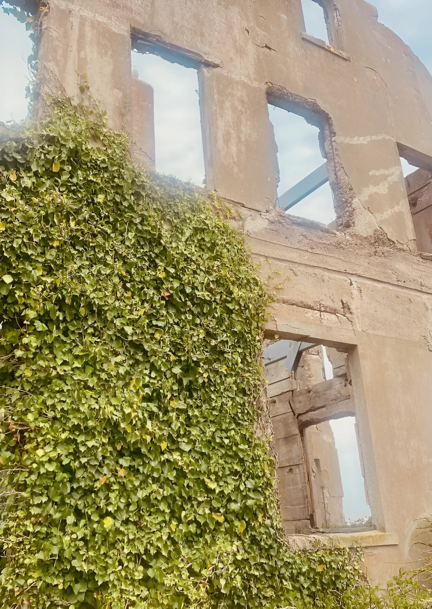 Once Upon A Time In Alcatraz, Photograph - Photo by Dora Ybarra