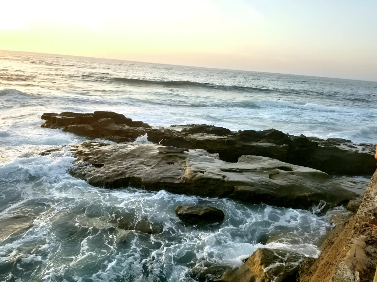 Peace, Photograph - Photo by Dora Ybarra