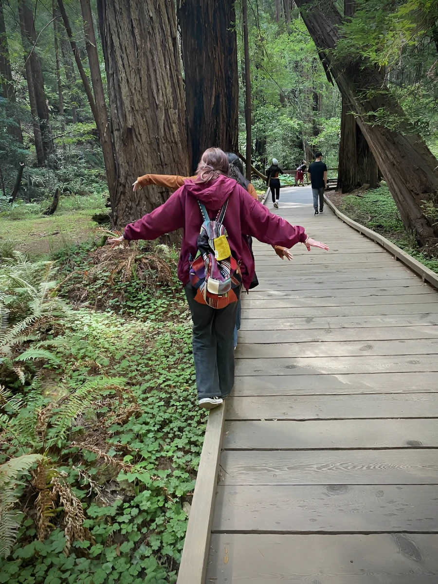 Peaceful Balance in Muir Woods, Photograph - Photo by Dora Ybarra