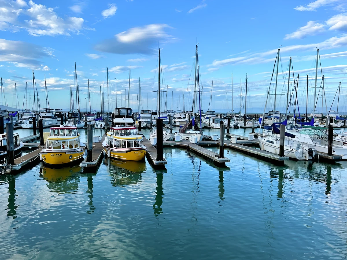 Pier 39, Photograph - Photo by Dora Ybarra