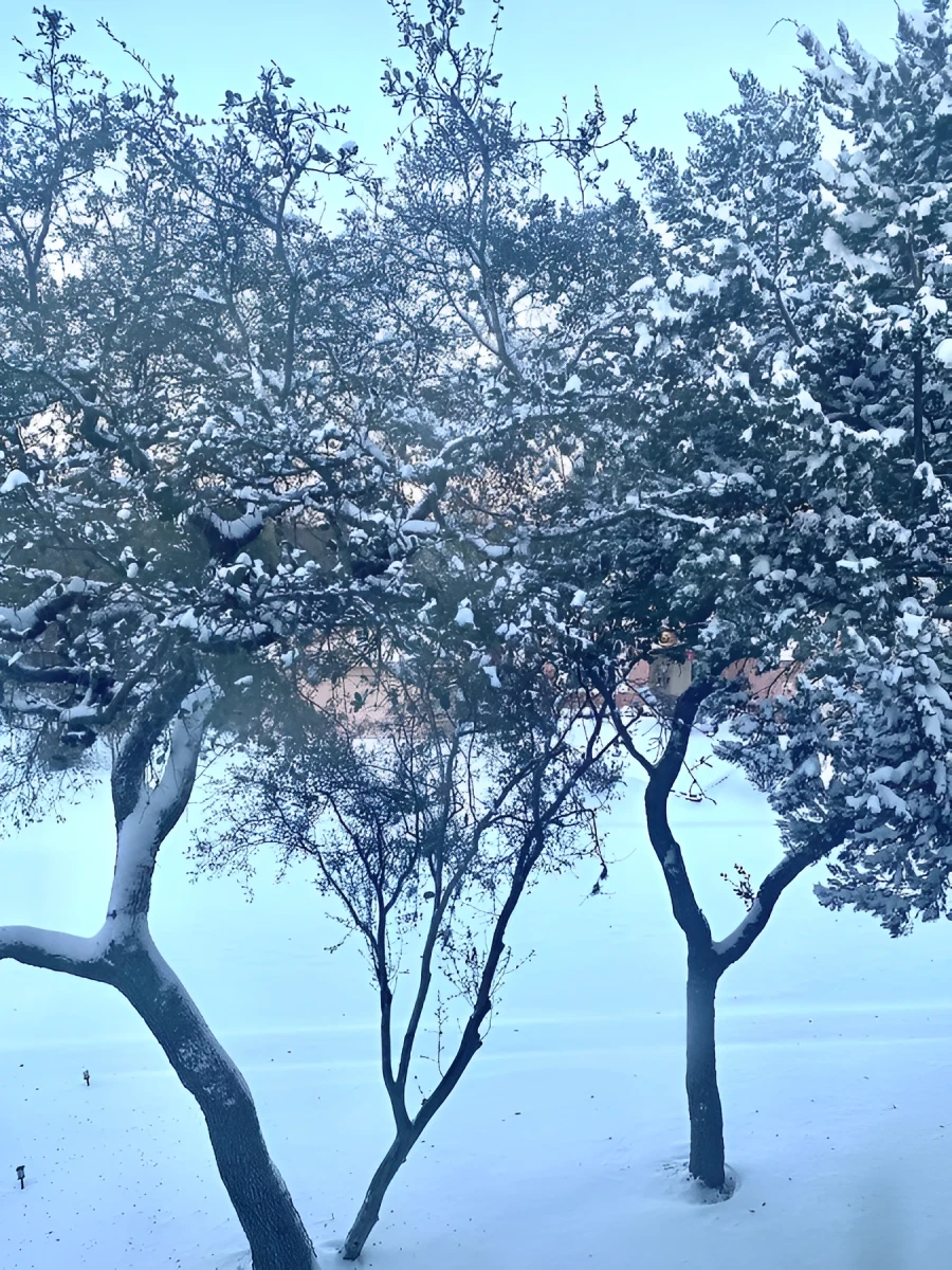 Sameness, Photograph - Photo by Dora Ybarra