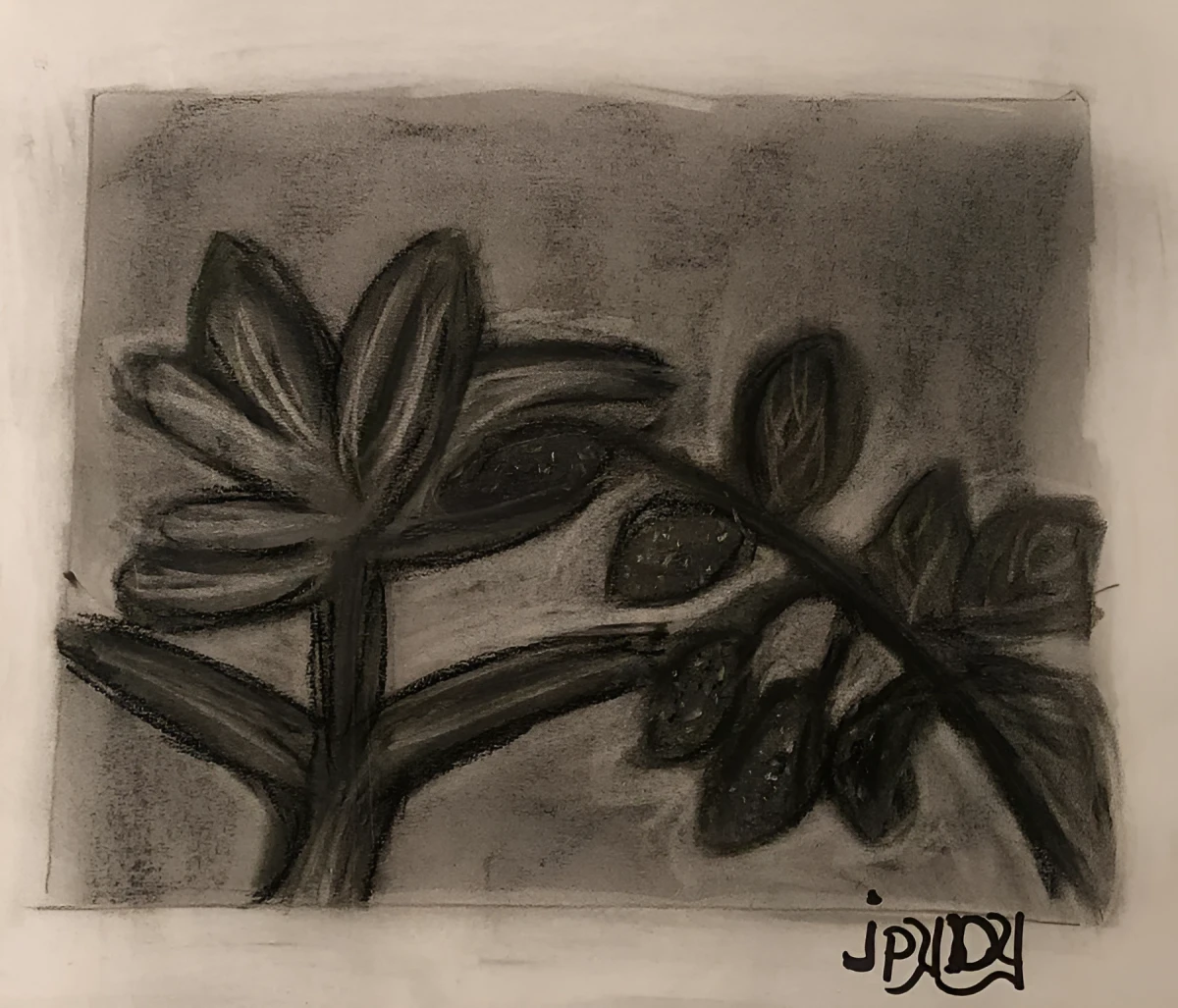 Simple Beauty, Drawing - Chalk Eraser by Dora Ybarra