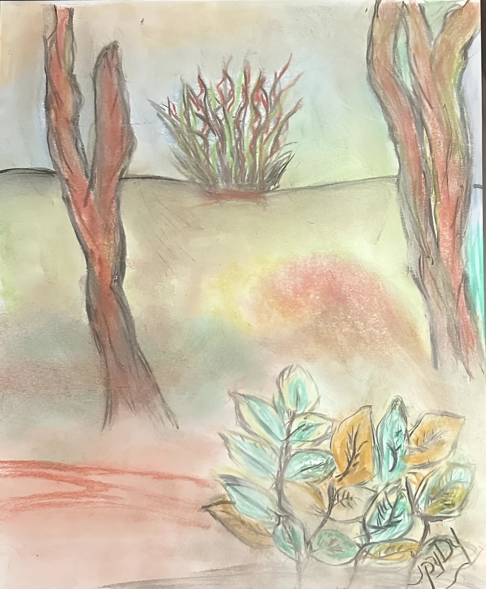 Spring Delight, Pastel - Chalk by Dora Ybarra