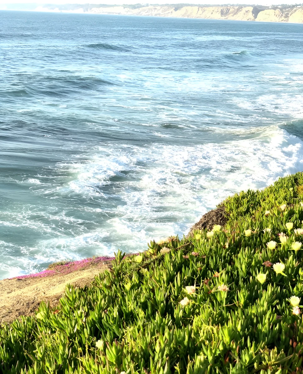 Waters of Beauty, Photograph - Photo by Dora Ybarra