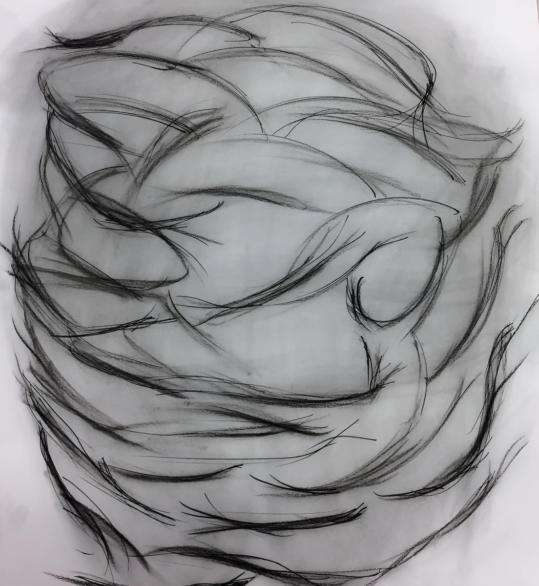 West Winds, Drawing - Chalk Eraser by Dora Ybarra