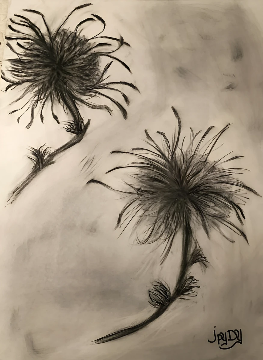 Wild and Free, Drawing - Chalk by Dora Ybarra