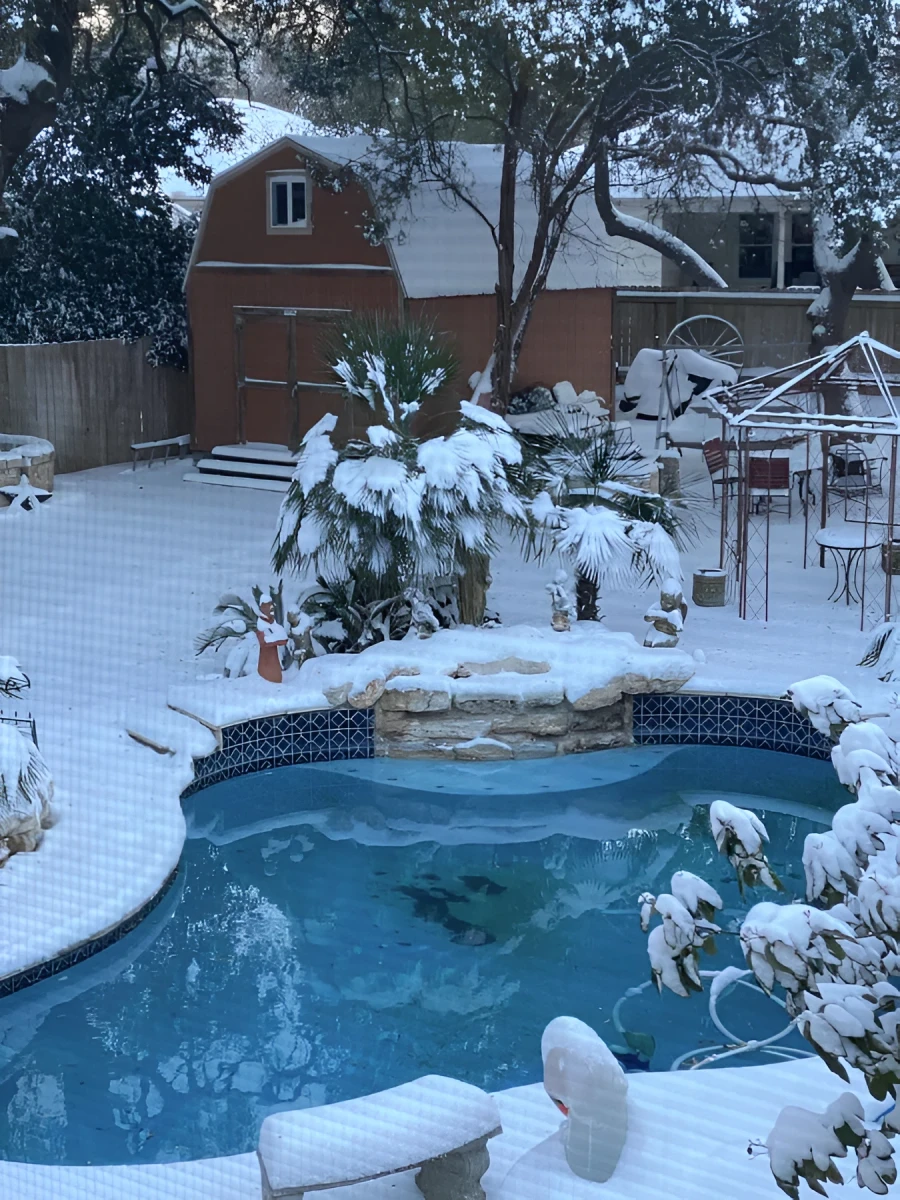 Winter Wonderland, Photograph - Photo by Dora Ybarra
